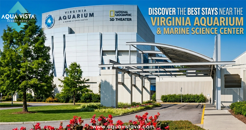 hotels near virginia aquarium