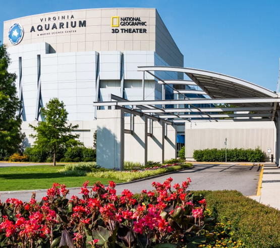 Hotels near Virginia Beach Aquarium